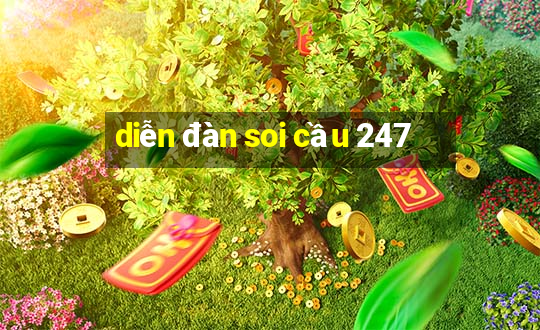 diễn đàn soi cầu 247