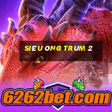 Siêu ông trùm 2