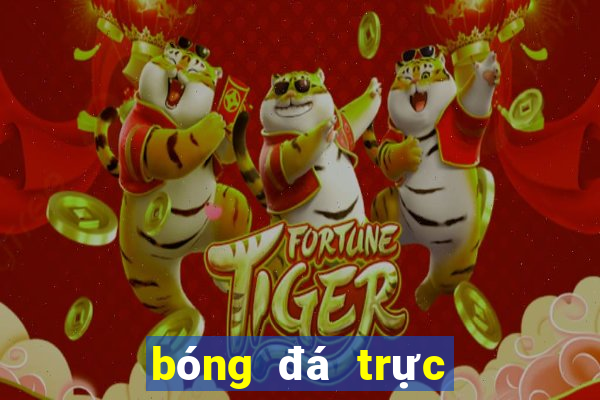 bóng đá trực tiếp chảo lửa