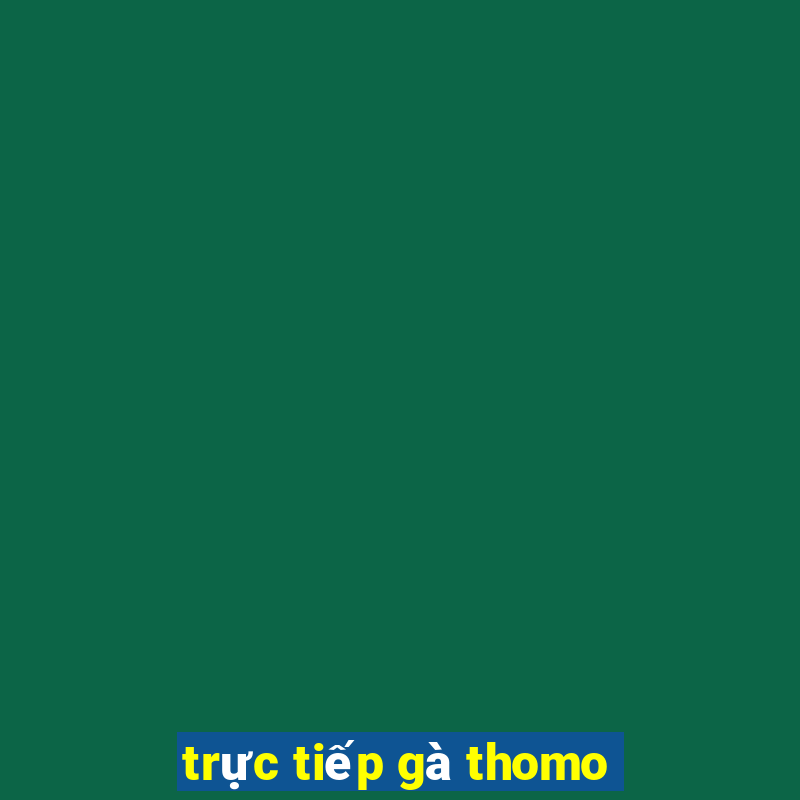 trực tiếp gà thomo