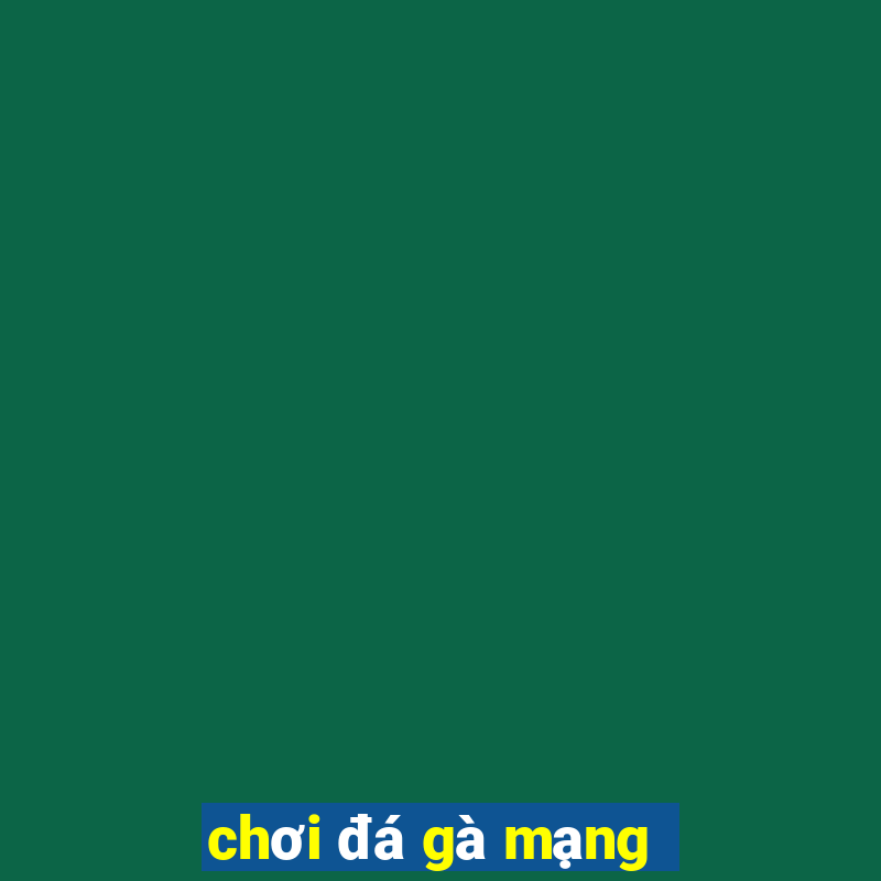 chơi đá gà mạng