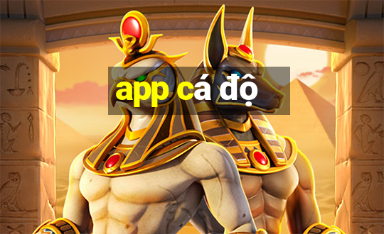 app cá độ