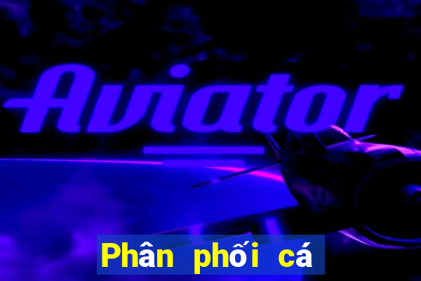 Phân phối cá có thể lên xuống