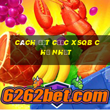 Cách đặt cược XSQB Chủ Nhật