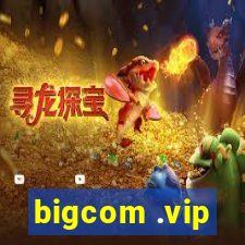 bigcom .vip