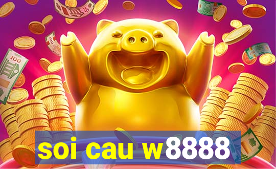 soi cau w8888