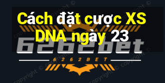 Cách đặt cược XSDNA ngày 23