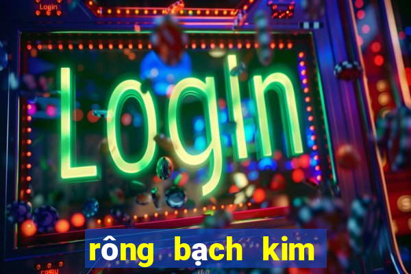 rông bạch kim thông kê