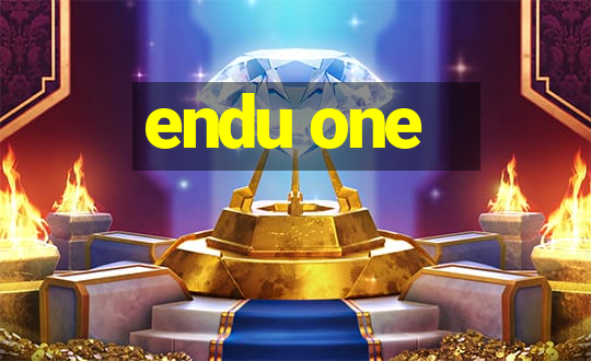 endu one