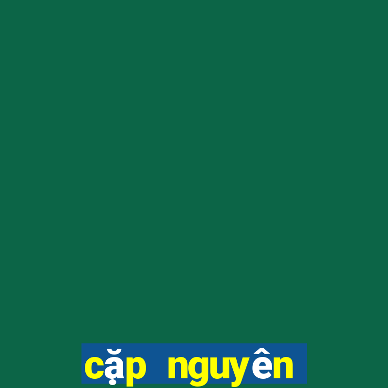 cặp nguyên thưởng là gì