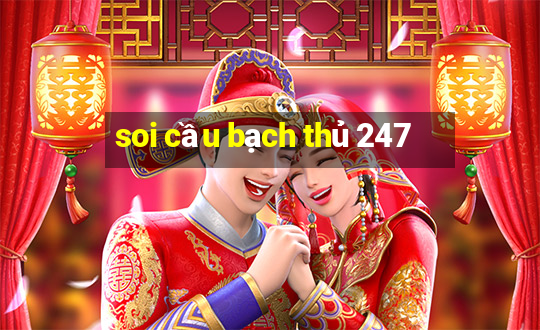 soi cau bach thu 247