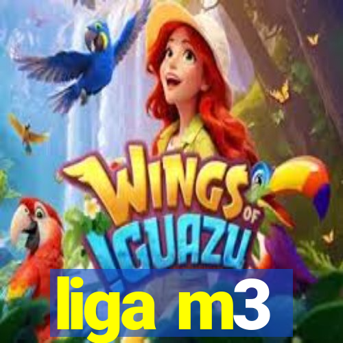 liga m3