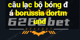 câu lạc bộ bóng đá borussia dortmund