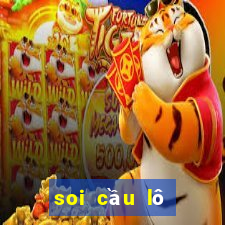 soi cau lo de mien trung