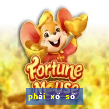 phải xổ số miền nam