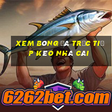 xem bóng đá trực tiếp kèo nhà cái