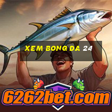 xem bong da 24