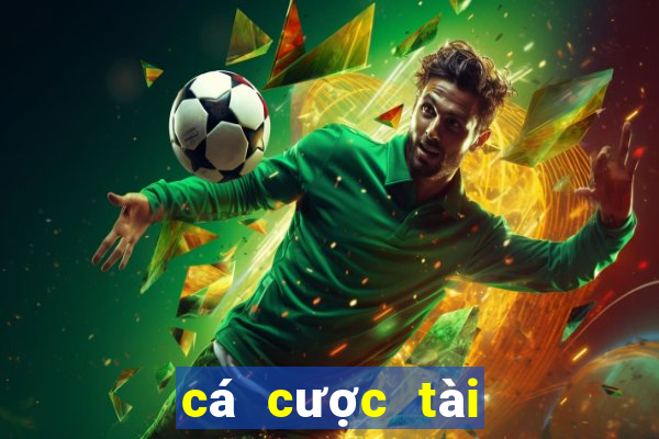 cá cược tài xỉu euro