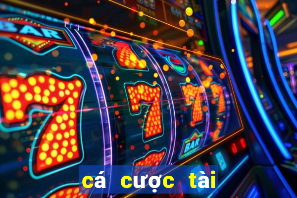 cá cược tài xỉu euro