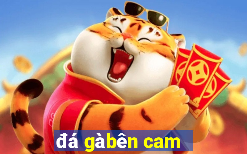 đá gà bên cam