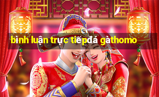 bình luận trực tiếp đá gà thomo