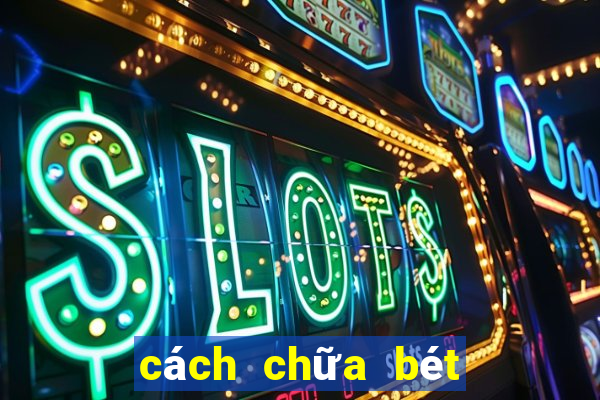 cách chữa bét cho chó