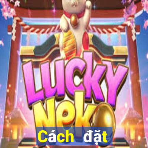 Cách đặt cược XSDNA ngày 5