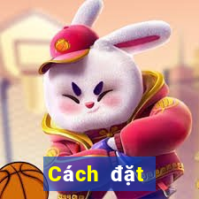 Cách đặt cược XSMN ngày 9