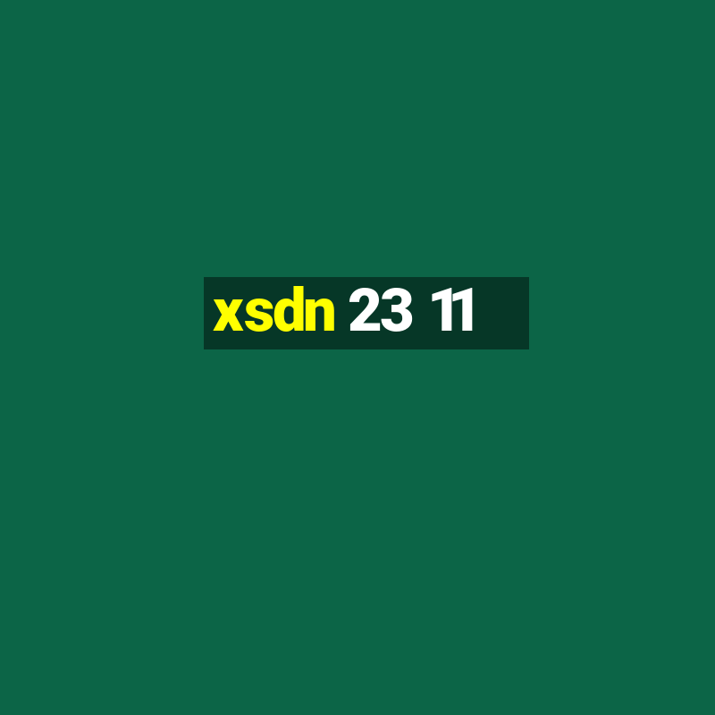 xsdn 23 11