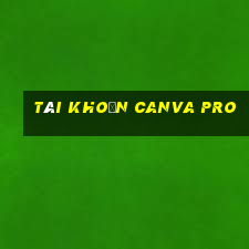 tài khoản canva pro