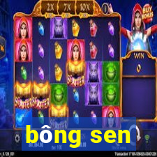 bông sen