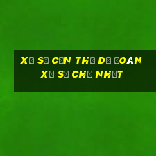 Xổ Số Cần Thơ Dự Đoán Xổ Số Chủ Nhật