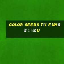 Color Seeds tải Fun88 ở đâu