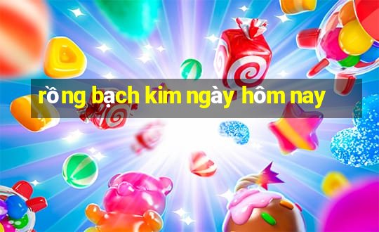 rồng bạch kim ngày hôm nay