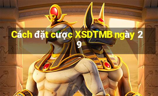 Cách đặt cược XSDTMB ngày 29