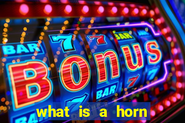 what is a horn bet in craps