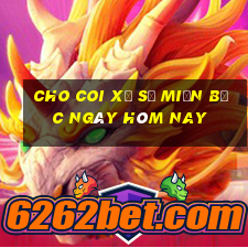 cho coi xổ số miền bắc ngày hôm nay