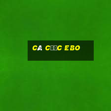 Cá cược eBo