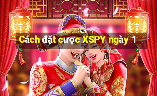 Cách đặt cược XSPY ngày 1