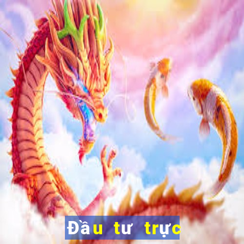 Đầu tư trực tuyến Bohua