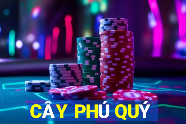 CÂY PHÚ QUÝ