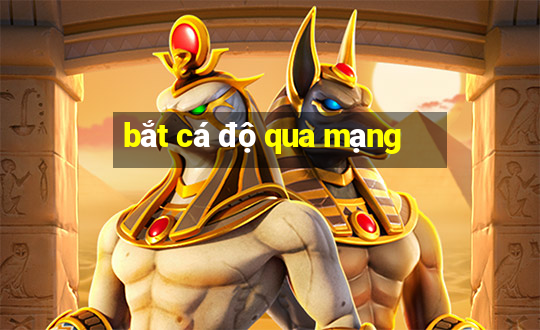 bắt cá độ qua mạng