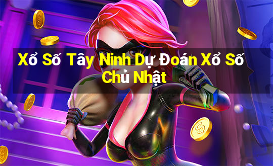 Xổ Số Tây Ninh Dự Đoán Xổ Số Chủ Nhật