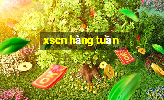 xscn hang tuan