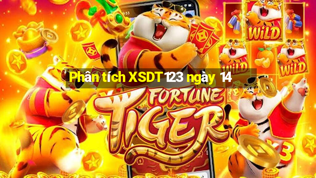 Phân tích XSDT123 ngày 14