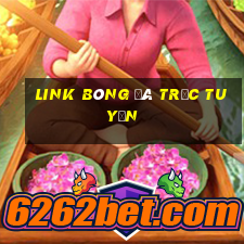 link bóng đá trực tuyến