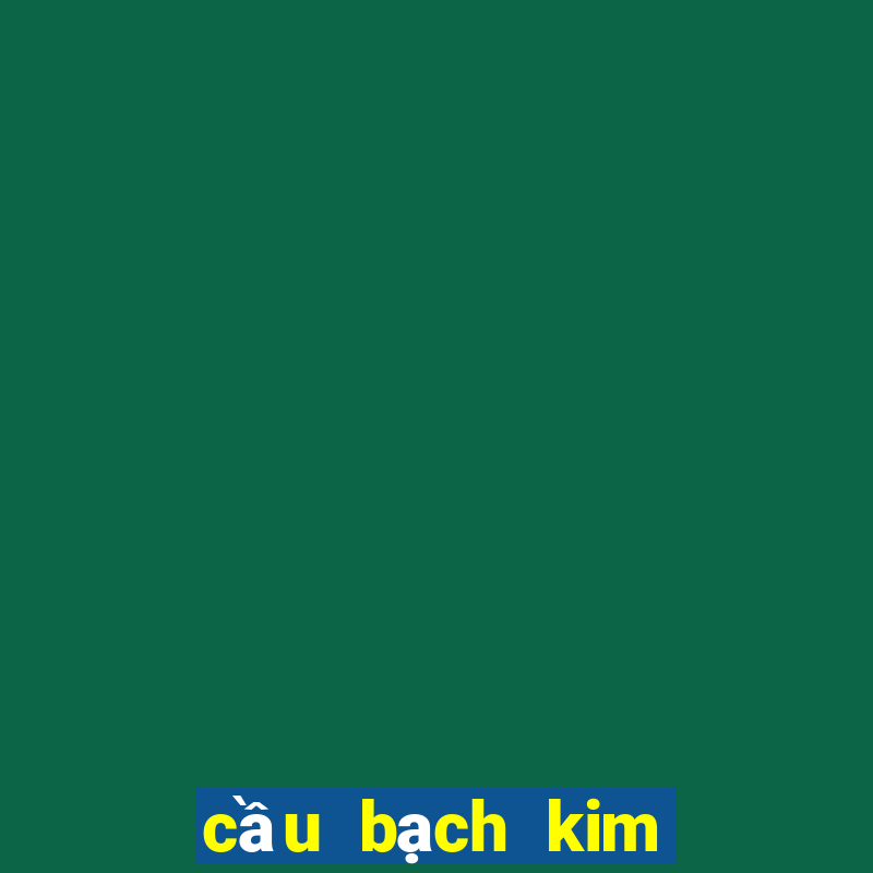 cầu bạch kim miền bắc