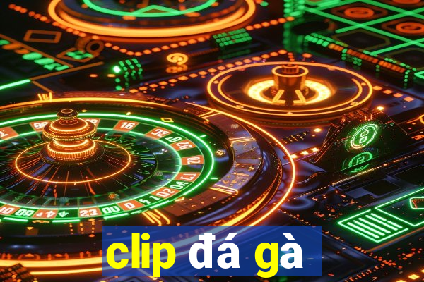 clip đá gà