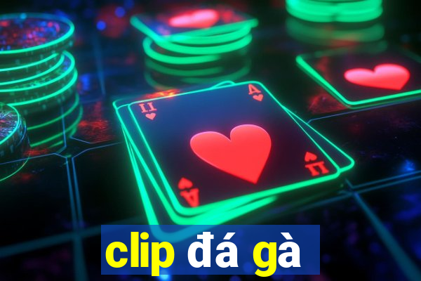 clip đá gà