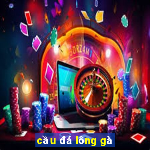 cầu đá lông gà